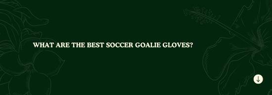 What Are the Best Soccer Goalie Gloves?